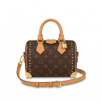 Louis Vuitton Pre-Owned Speedy Trunk Bag Woman Monogram Bold 13146 Brown/Beige